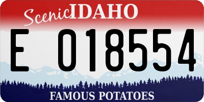 ID license plate E018554