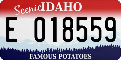 ID license plate E018559
