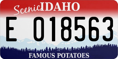 ID license plate E018563