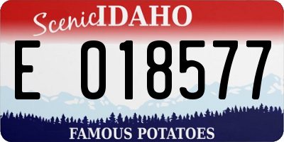 ID license plate E018577