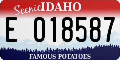 ID license plate E018587