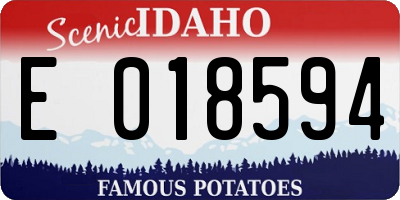 ID license plate E018594