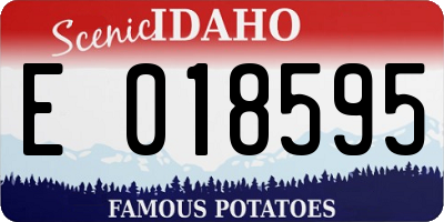 ID license plate E018595