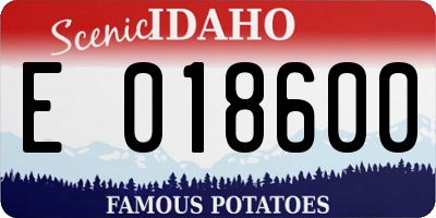 ID license plate E018600