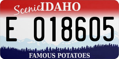 ID license plate E018605