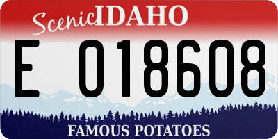 ID license plate E018608