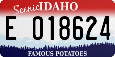 ID license plate E018624