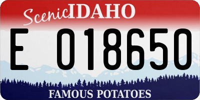 ID license plate E018650