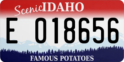 ID license plate E018656