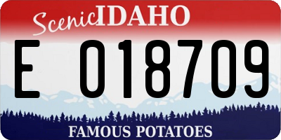 ID license plate E018709