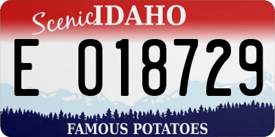 ID license plate E018729