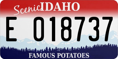ID license plate E018737