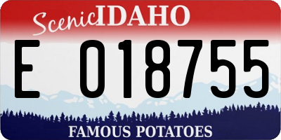 ID license plate E018755