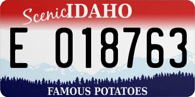 ID license plate E018763