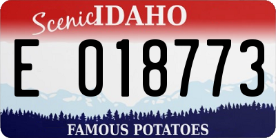 ID license plate E018773