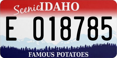 ID license plate E018785