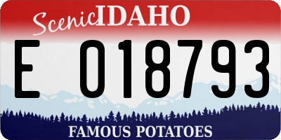 ID license plate E018793