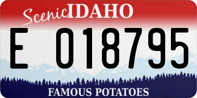 ID license plate E018795