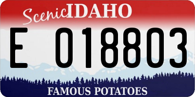 ID license plate E018803