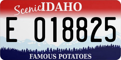 ID license plate E018825