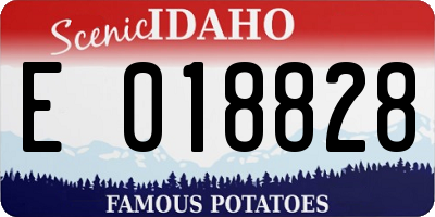 ID license plate E018828