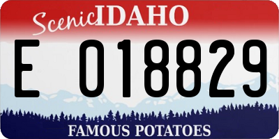 ID license plate E018829