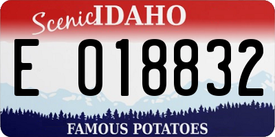 ID license plate E018832