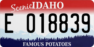 ID license plate E018839