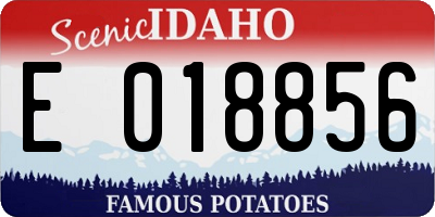 ID license plate E018856