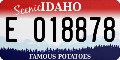 ID license plate E018878