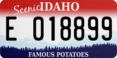 ID license plate E018899