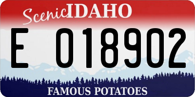 ID license plate E018902