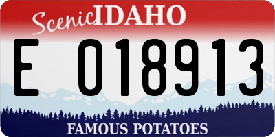 ID license plate E018913