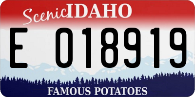 ID license plate E018919