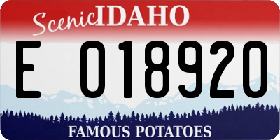 ID license plate E018920