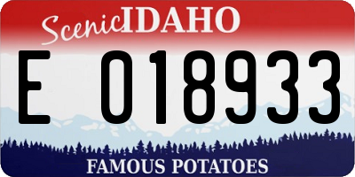 ID license plate E018933