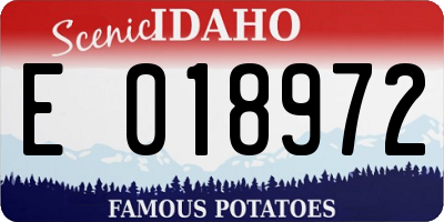 ID license plate E018972