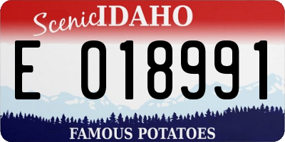 ID license plate E018991