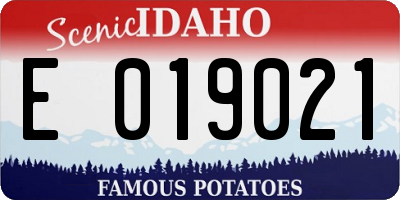 ID license plate E019021