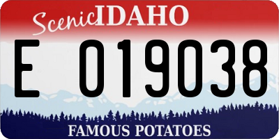 ID license plate E019038