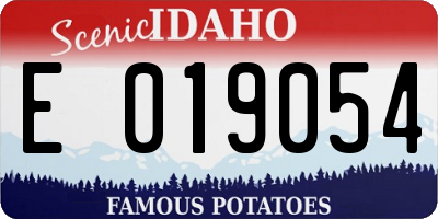 ID license plate E019054