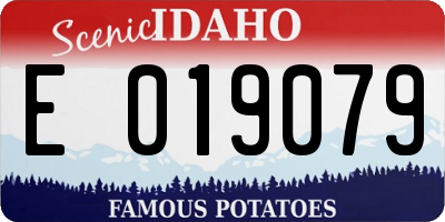 ID license plate E019079