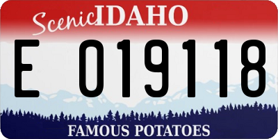 ID license plate E019118