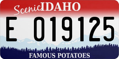ID license plate E019125
