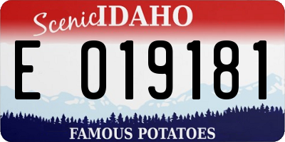 ID license plate E019181