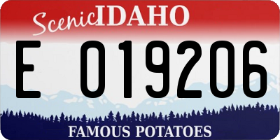 ID license plate E019206