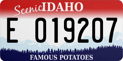 ID license plate E019207