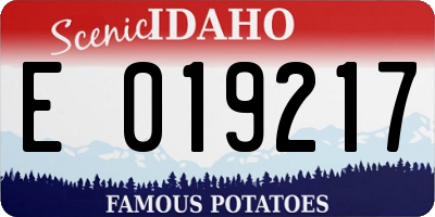 ID license plate E019217