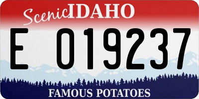 ID license plate E019237
