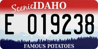 ID license plate E019238